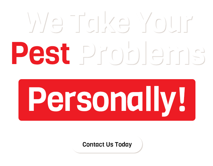 Expert Pest Control in Henderson, NC Whitco Bug Warriors