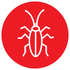 Roach Icon